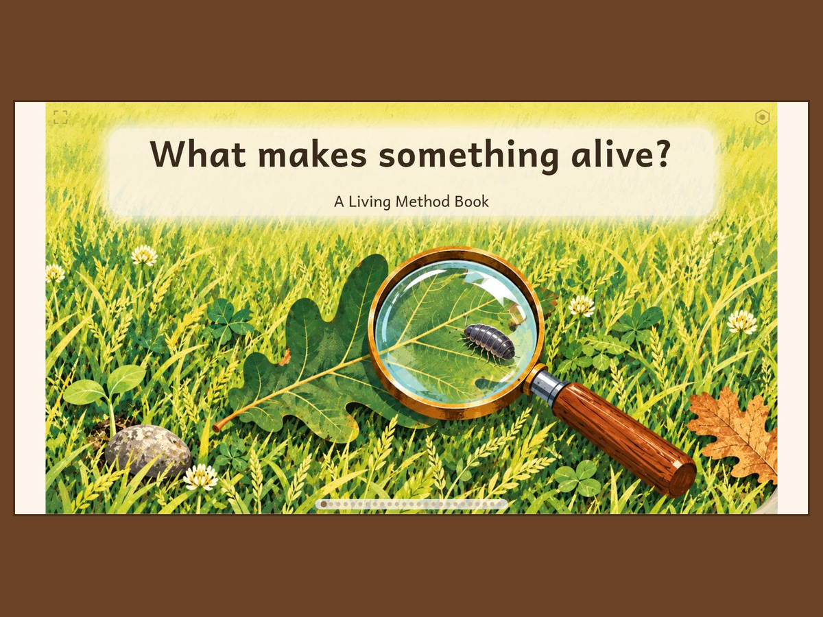 What makes something alive? on the table